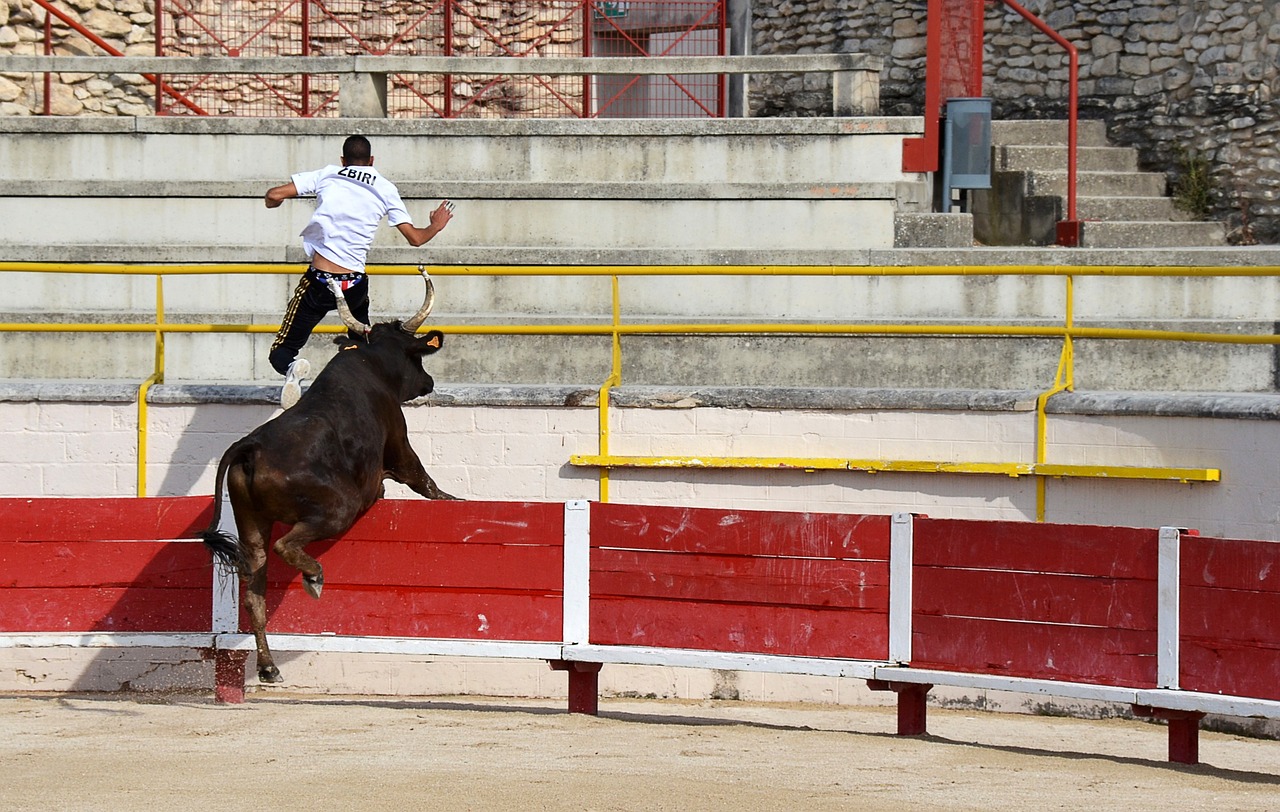 ía