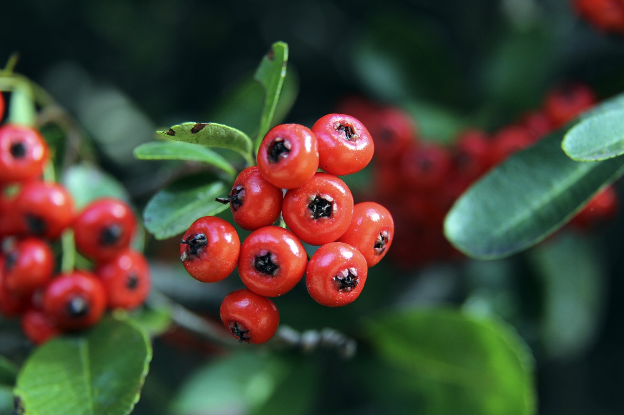 体育辉煌成 体育辉煌成