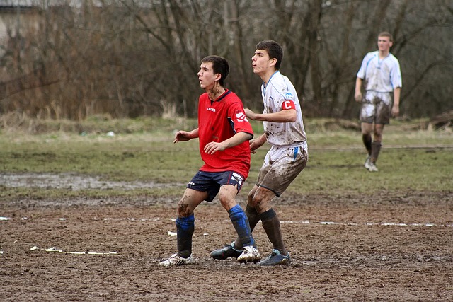 展现出有机 展现出有机