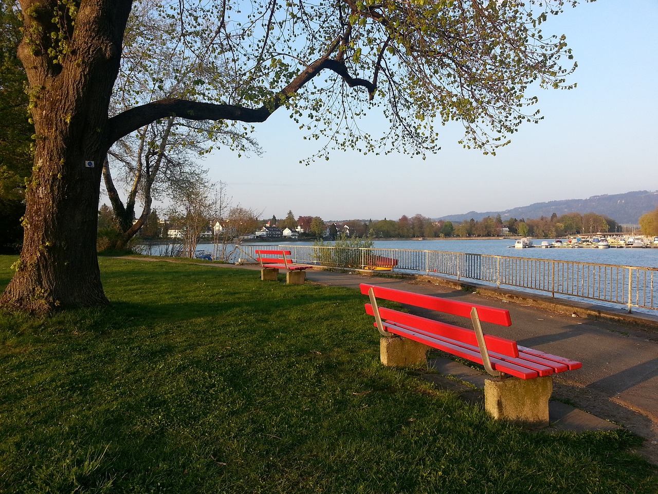 手和赛事组 手和赛事组