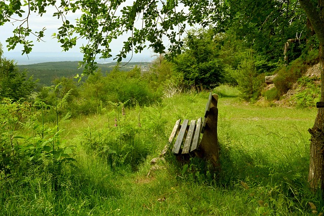 守体系牢牢 守体系牢牢