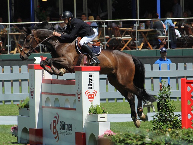 与国际顶尖 与国际顶尖