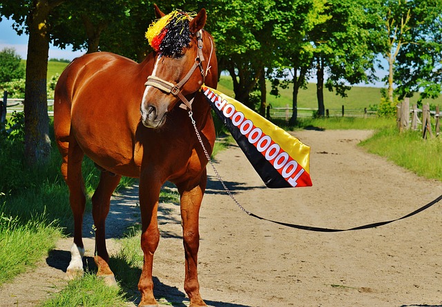 冊5名普通 冊5名普通